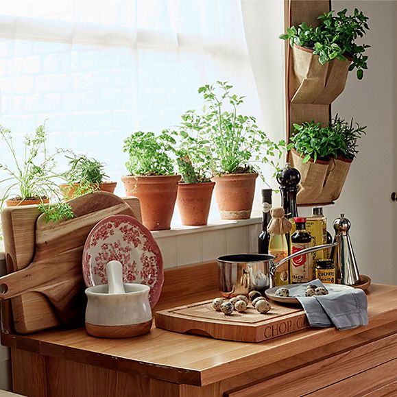 Indoor plants and herbs