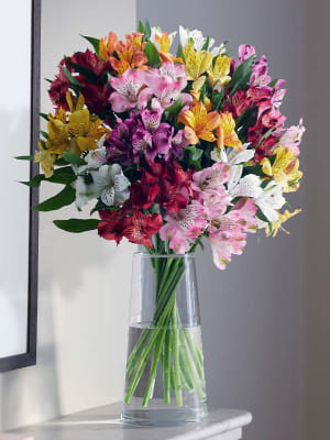 Marks and spencer deals flowers