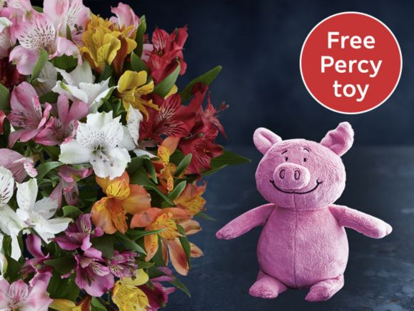 Free Percy Pig Toy