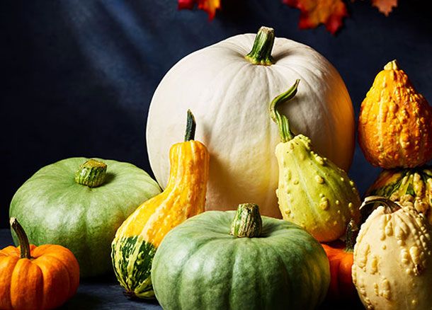 A selection of M&S pumpkins