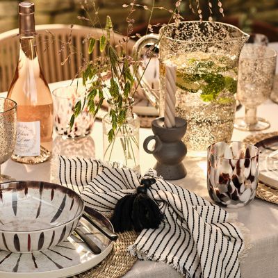 Garden table set with dinnerware, glasses and accessories. Shop garden accessories and picnicware
