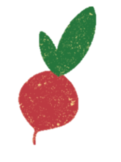 Radish