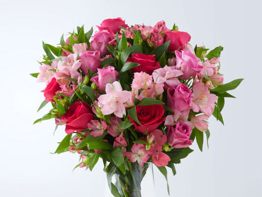 m and s xmas flowers