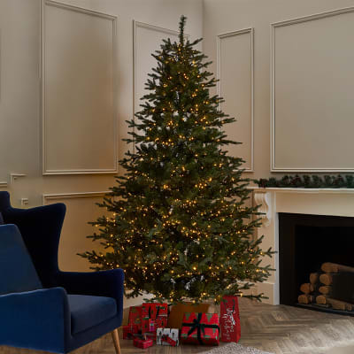 Buying Guide How To Choose A Christmas Tree M&S