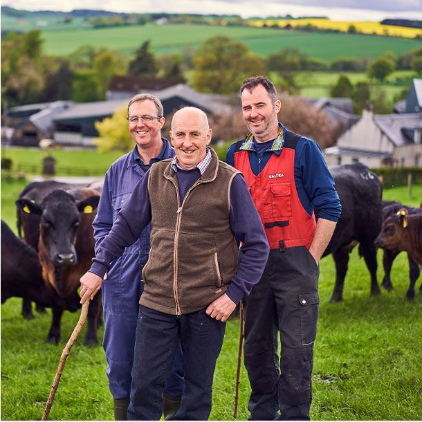 M&S Select beef farmers