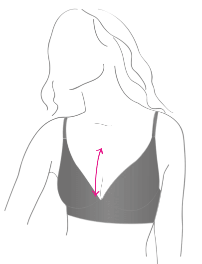 Image of the Plunge Bra