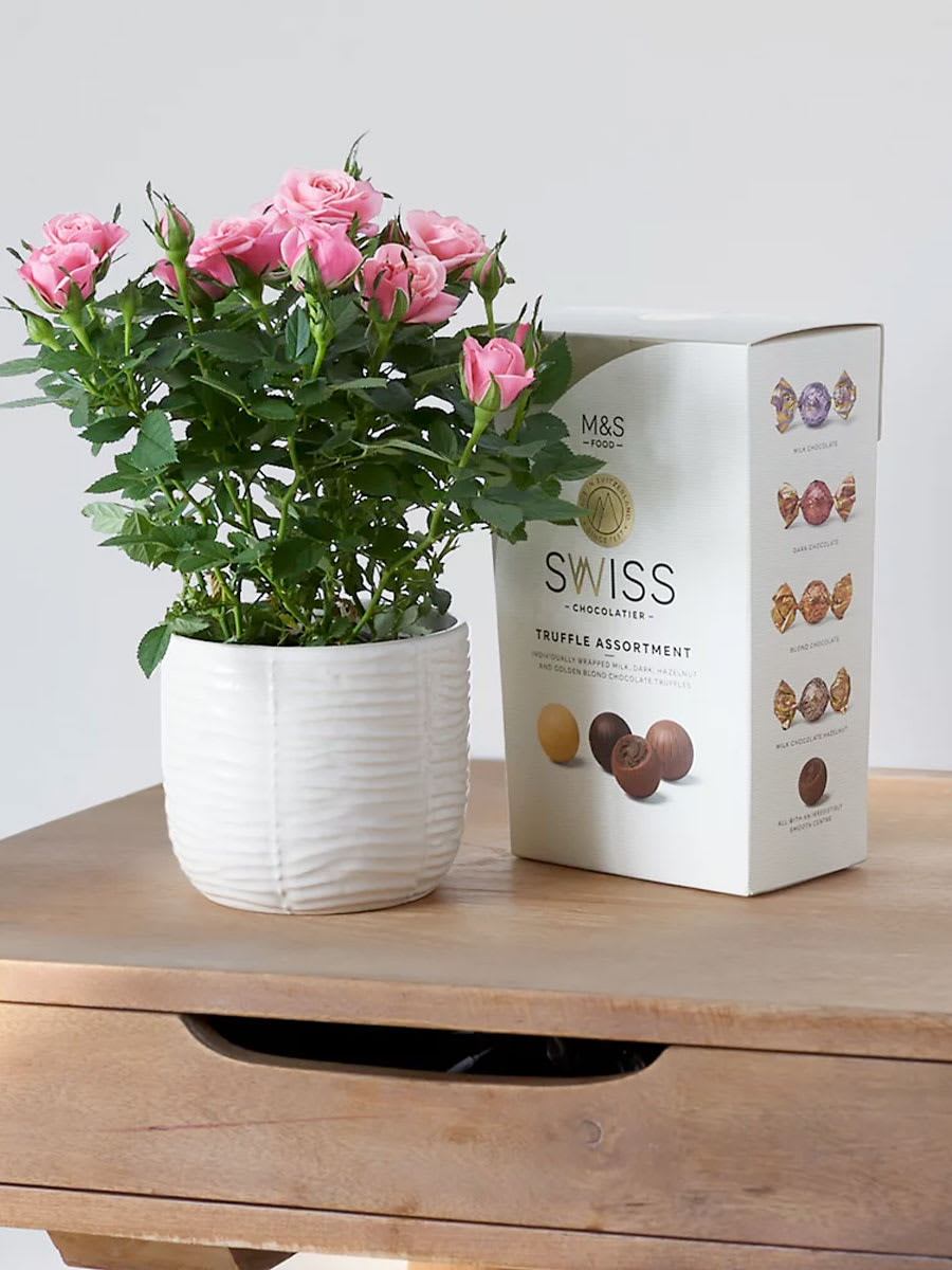 Little Pink Flowers Upminster Best Flower Site