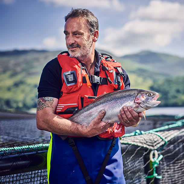 Scottish trout