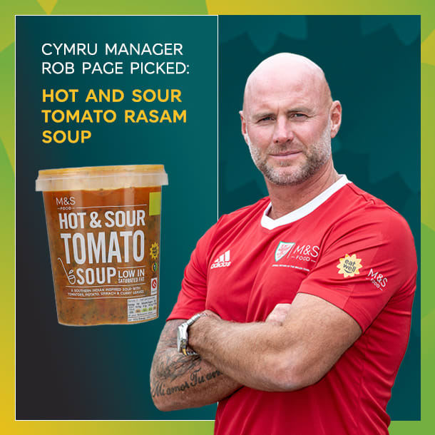 Cymru manager Rob Page