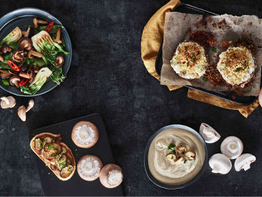 Mushrooms on toast, mushroom salad, mushroom dip and stuffed mushrooms