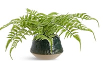 Artificial plant in pot
