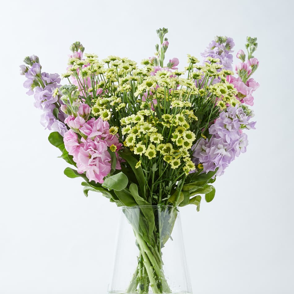 Same Day Flower Delivery Uk Marks And Spencer Best Flower Site