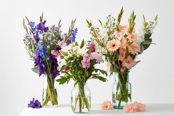 m and s xmas flowers