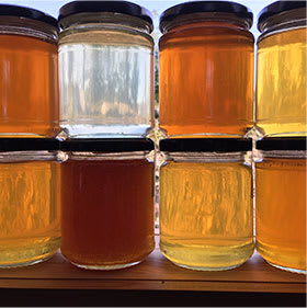 Jars of honey