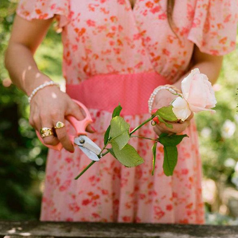 Woman trimming a rose stem