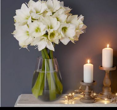 White amaryllis bouquet. Shop now 