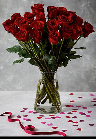Two dozen red roses 