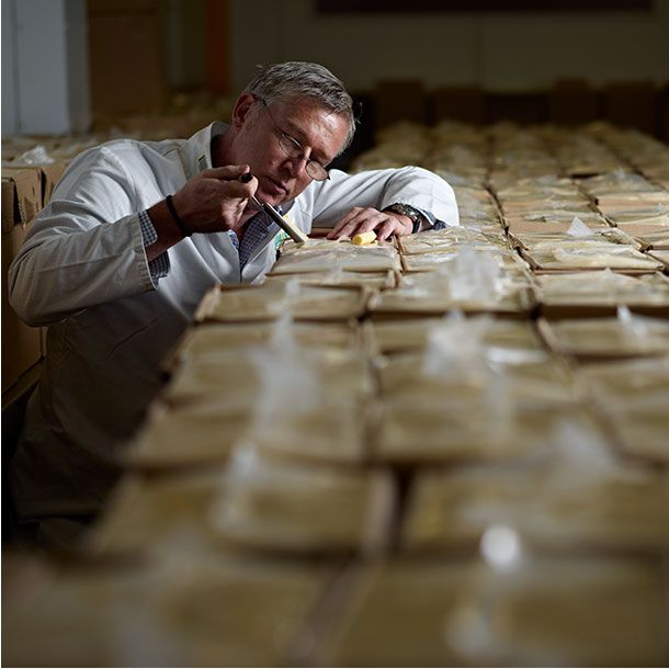 A man inspects cheese at the Davidstow Creamery