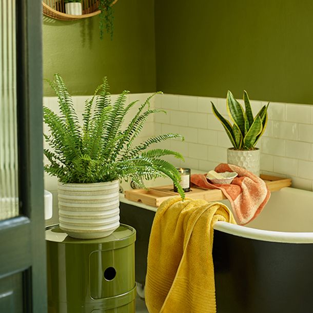 Green bathroom filled with green houseplants in assorted pots
