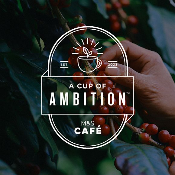 A cup of Ambition