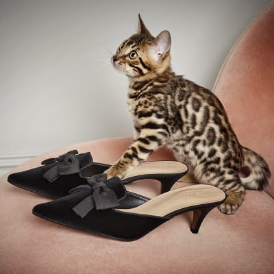 Marks and spencer store kitten heel shoes