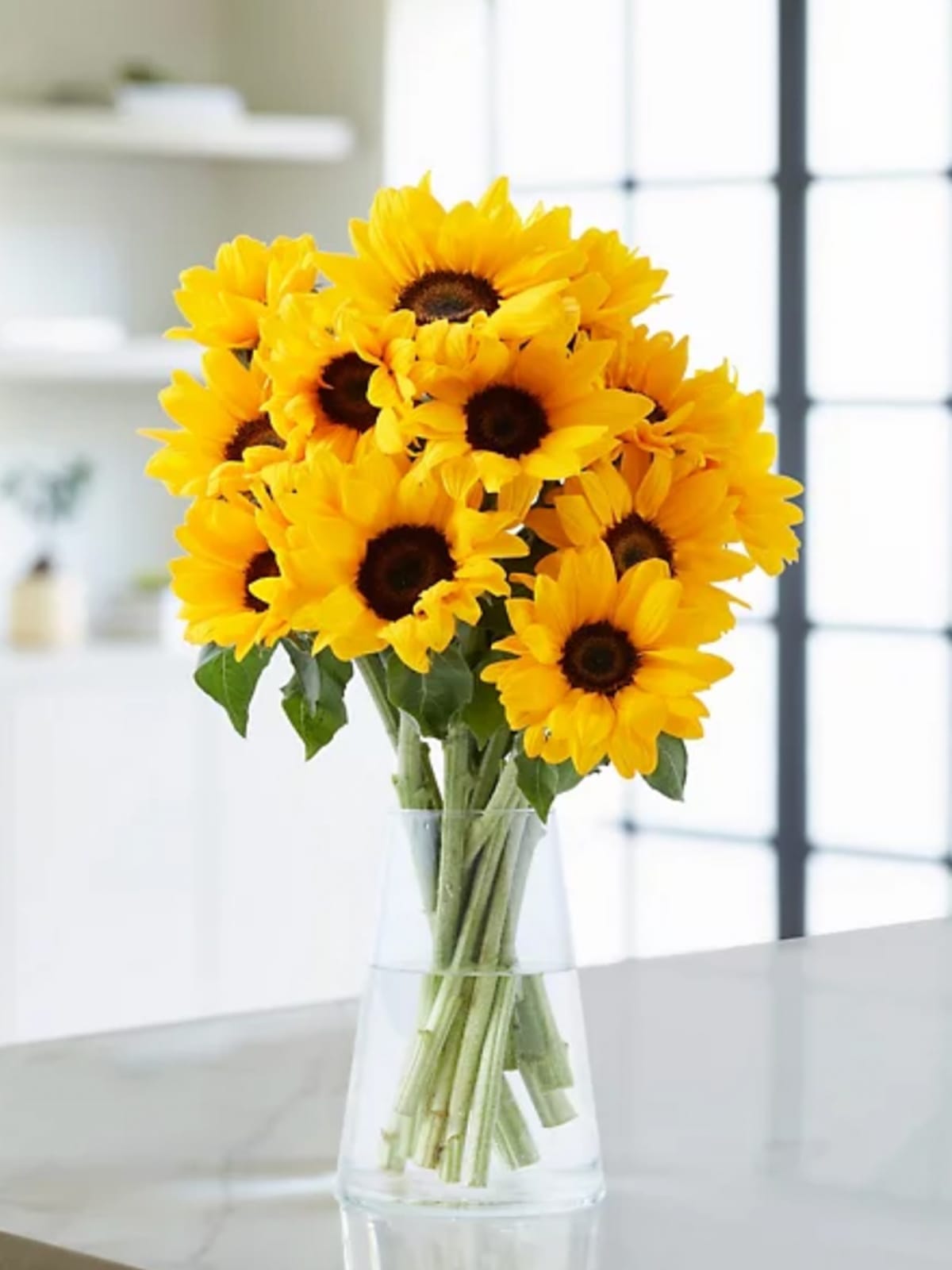 Flowers Plants Online Free Next Day Flowers Delivery M S