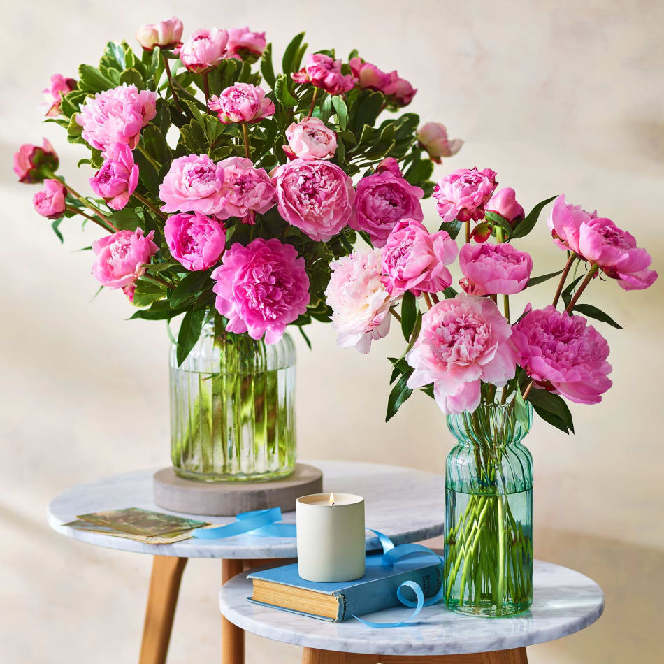 Same Day Flower Delivery Uk Marks And Spencer Best Flower Site