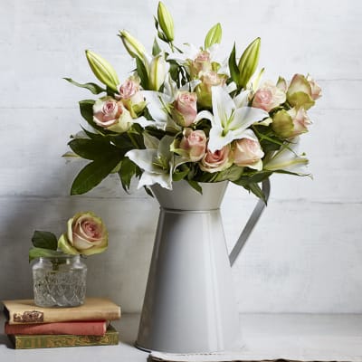 Why la belle roses are summer’s prettiest flowers