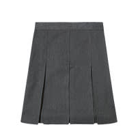 School skirt