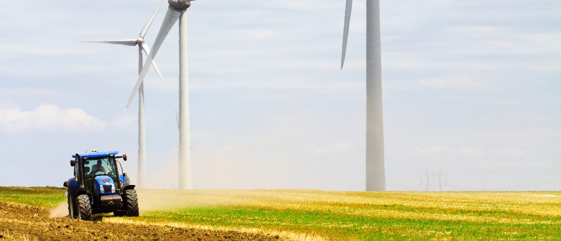 Wind turbines in a field