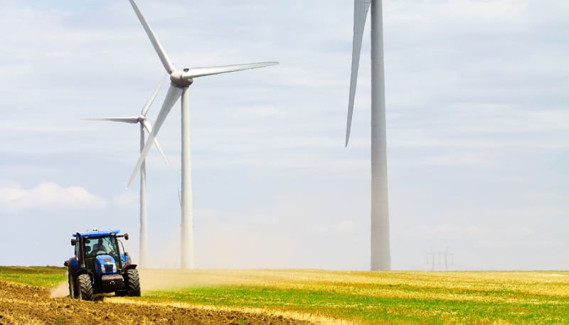 Wind turbines in a field